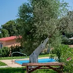 Memi Villa